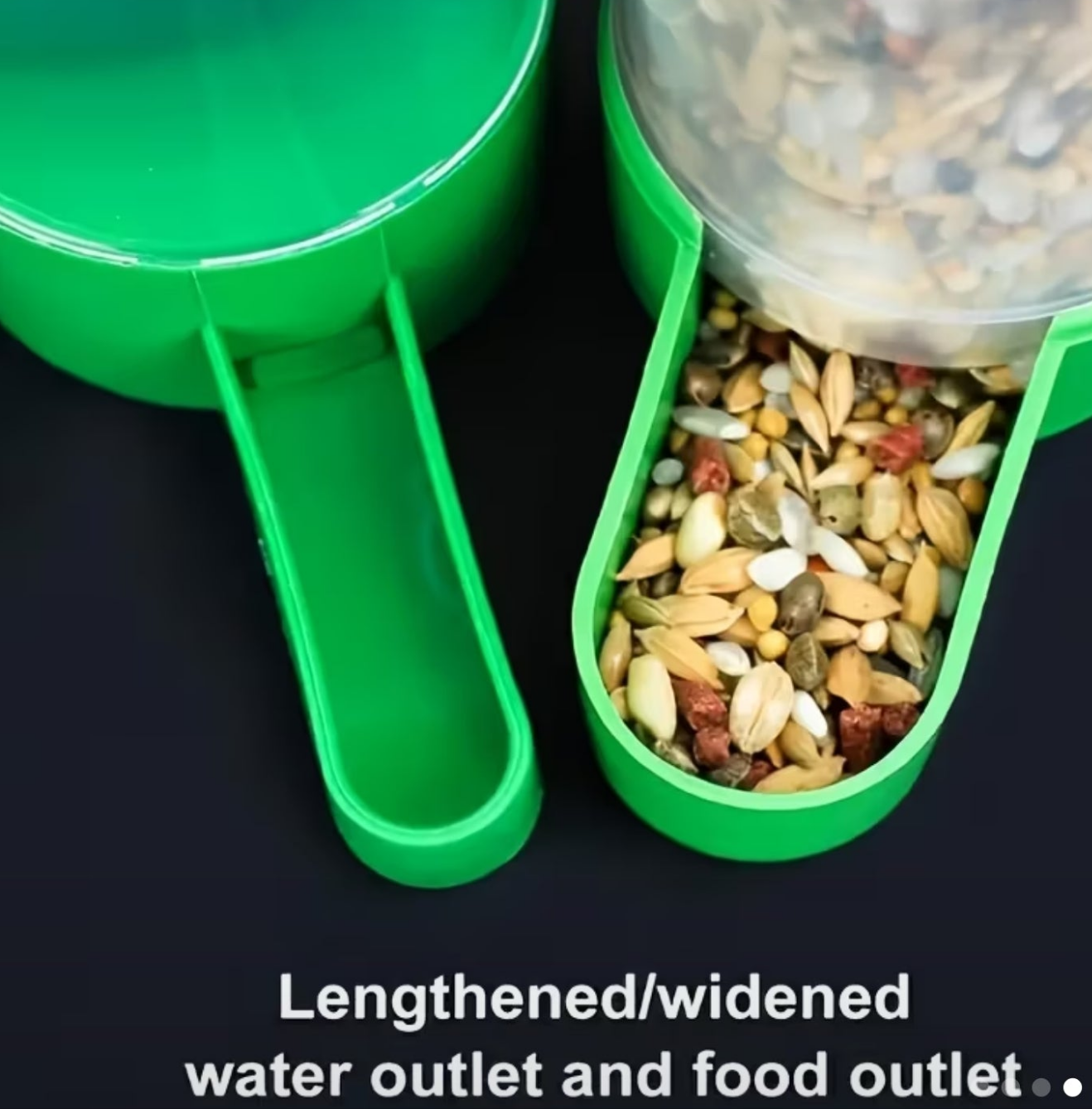 EcoSeeds Auto Bird Feeder
