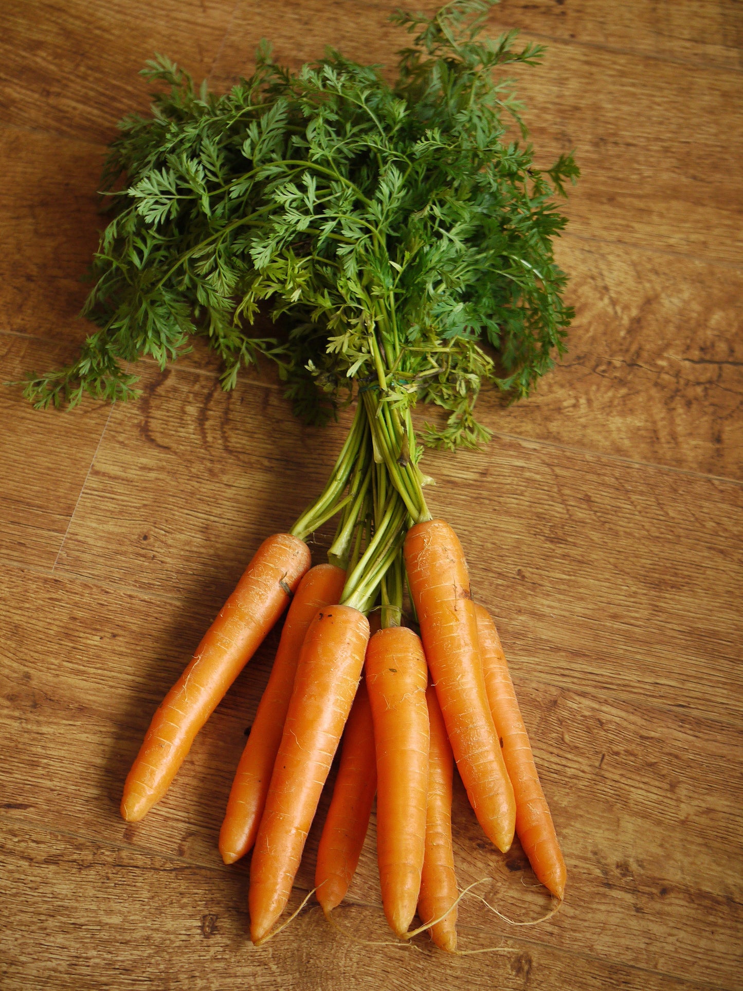 Carrot Nantes Seed (100 Seeds)