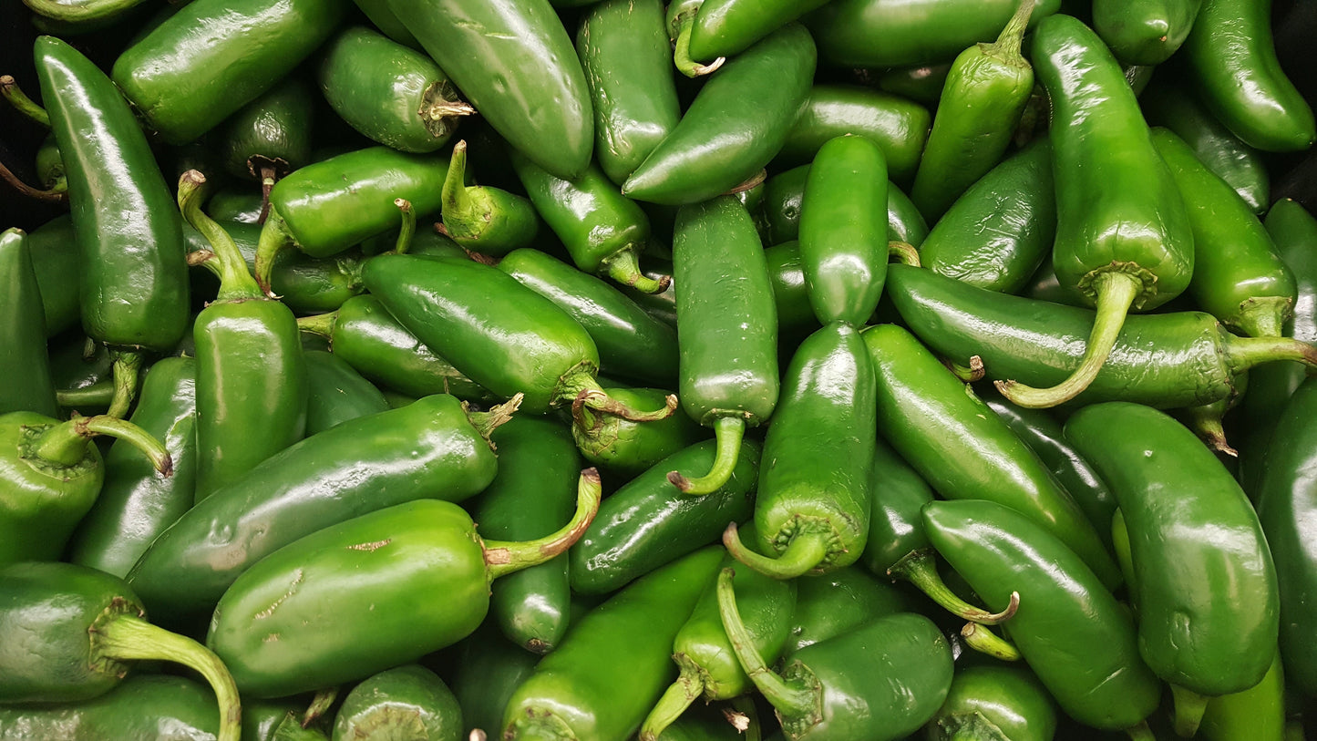 Capsicum Jalapeno - Chili Seed (10 Seeds)