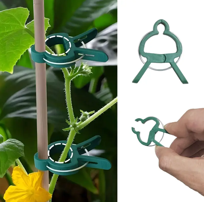 EcoSeeds Plant Support Clips