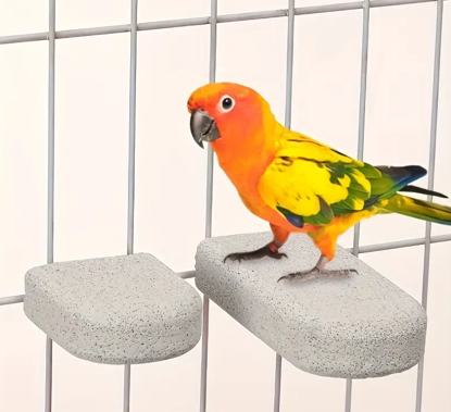 EcoSeeds Volcanic Claw Grinding Stand