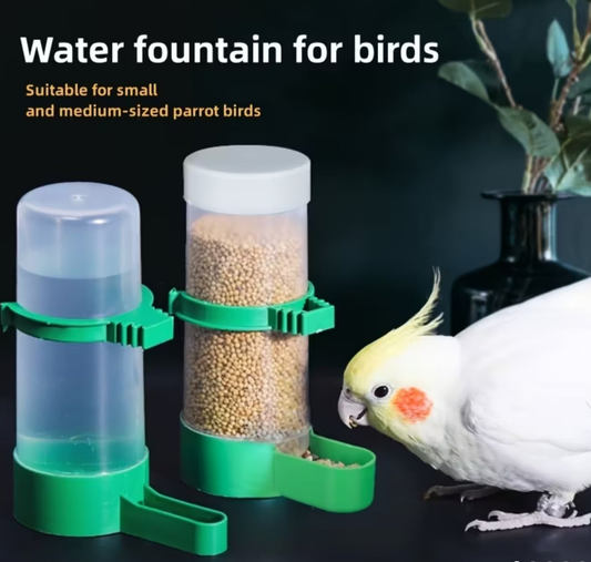 EcoSeeds Auto Bird Feeder