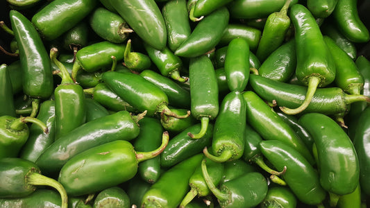 Capsicum Jalapeno - Chili Seed (10 Seeds)