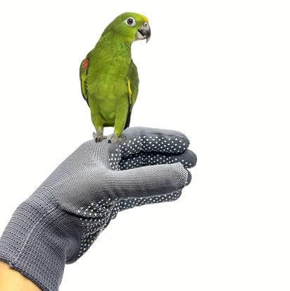 EcoSeeds Bird Protection Glove