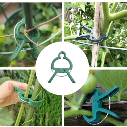 EcoSeeds Plant Support Clips