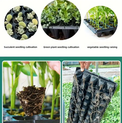 EcoSeeds Seedling Tray