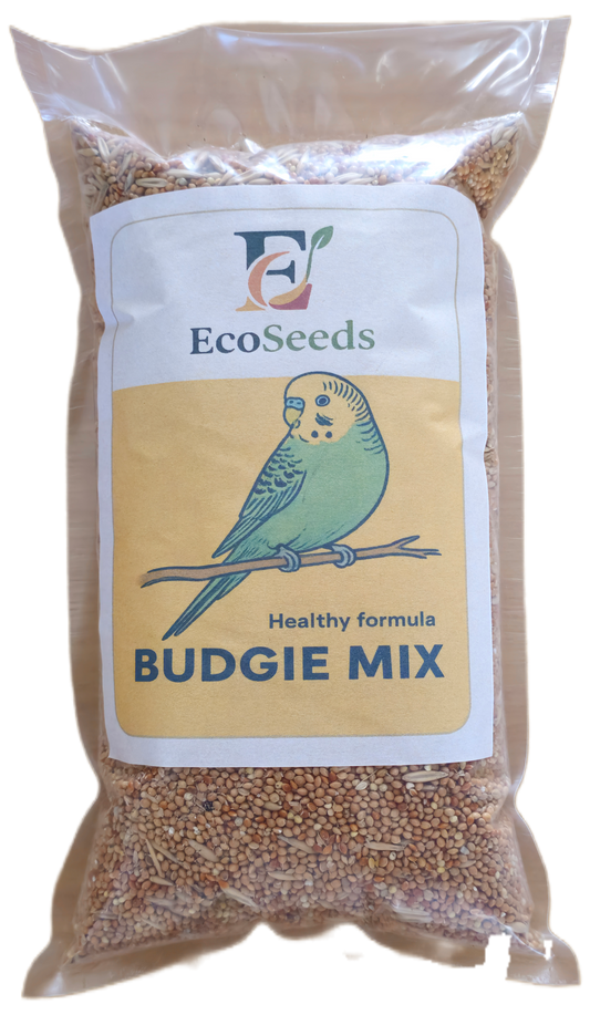 Budgie Mix