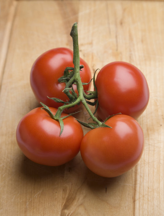 Tomato Moneymaker Seed (100 Seeds)